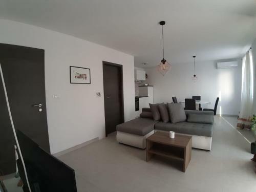 Apartment Skender