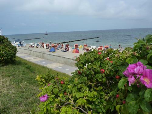 Apartamento Villa Patricia