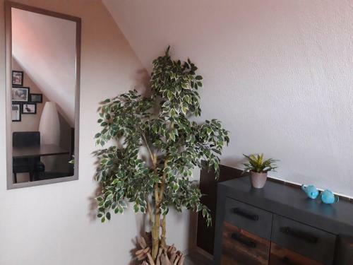 Apartamento Ferienwohnung Dein Ostseetrip