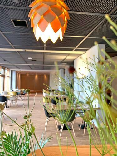 �kohotel Alea Eco