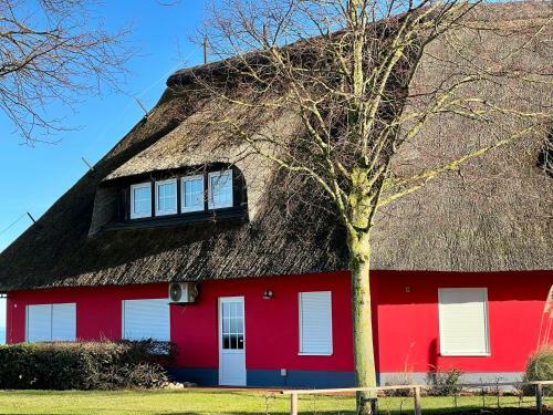 Hostal Corso