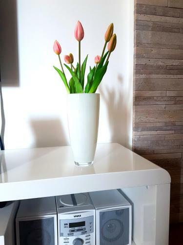 Apartment Rio