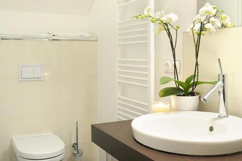 Apartamento Villa Rheingold Villa Rheingold 6