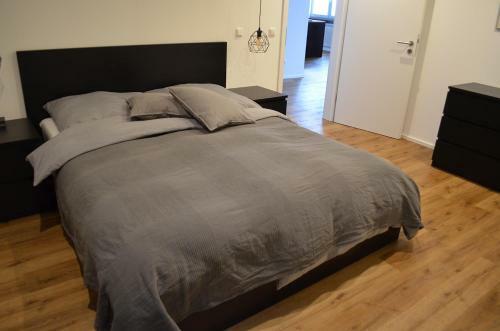 Apartment Pfungstadt