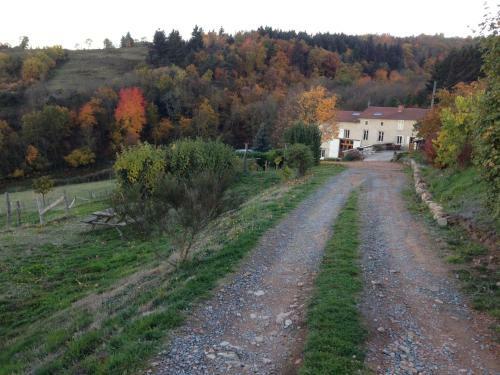 La Bruy�re Aux Lamas