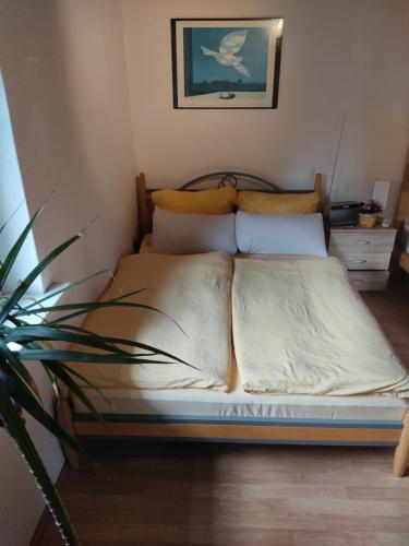 Apartamento G�stehaus Piesau