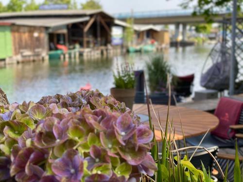 Hotel & Restaurant Fackelgarten Plau Am See