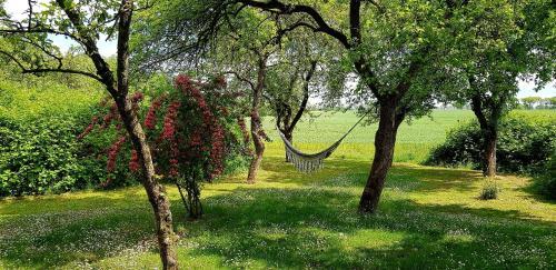 Apartamento Hof Garz