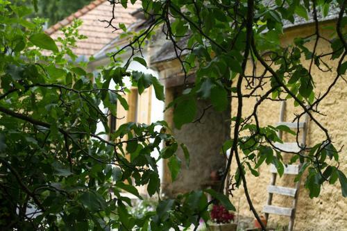 Hostal Ablak A Hegyre Vend�gh�z