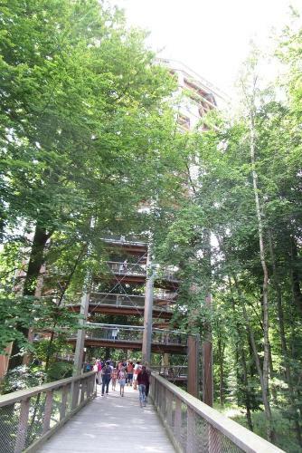 D�nenpark Binz - D�ne 11 Apartment 89