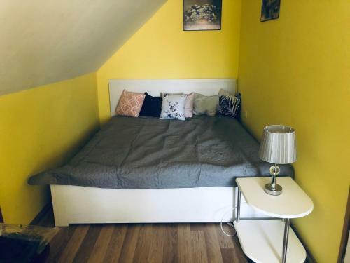Viola Vend�gh�z Mez?k�vesd
