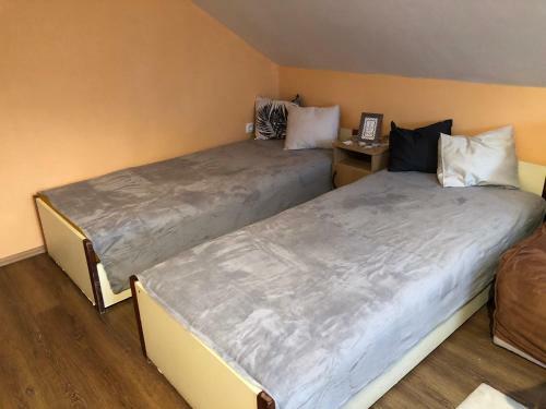 Viola Vend�gh�z Mez?k�vesd