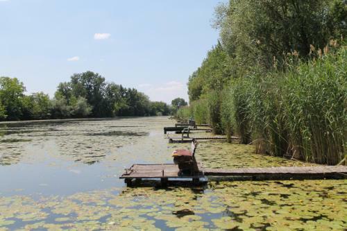 Hostal Ponty-poronty Vend�gh�z