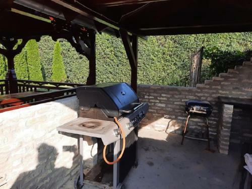 Ponty Ors� Vend�gh�z