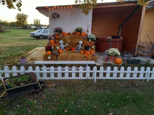 Bed & Breakfast Csodar�t K�ria