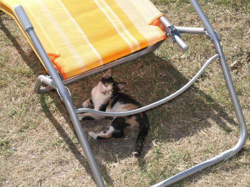 Bed & Breakfast Csodar�t K�ria