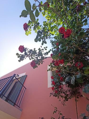 Villa Androniki