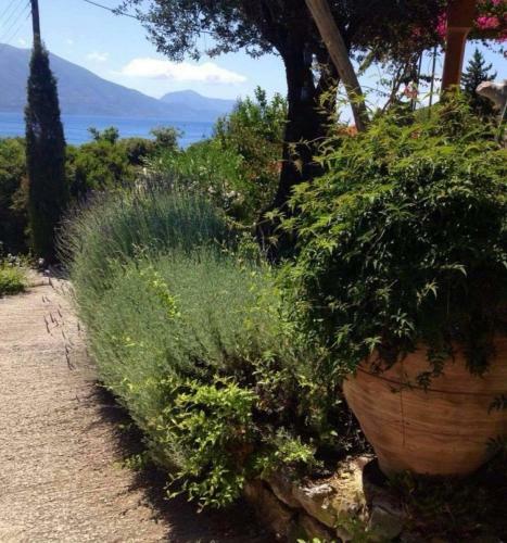 Apartamento Manona's Suite