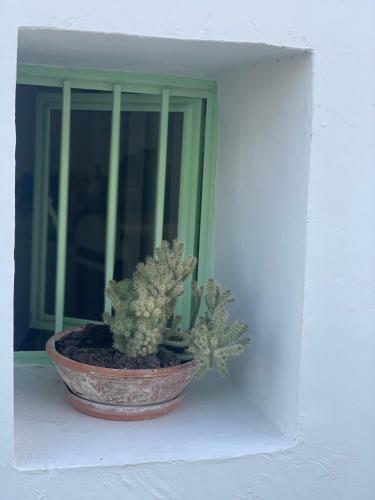 Apartamento Axiri