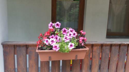 Hostal �l? Tisza Vend�gh�z