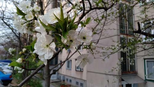 Geszteny�s Apartman