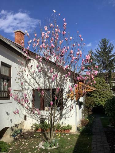 Apartamento Magnolia Garden