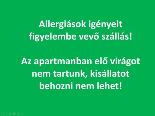 Smart Apartman Miskolc