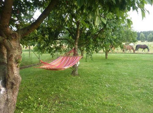 Hostal M�rkisches Landhaus & Pension Bartsch