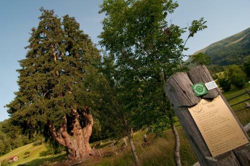 Agroturismo Grundnerhof