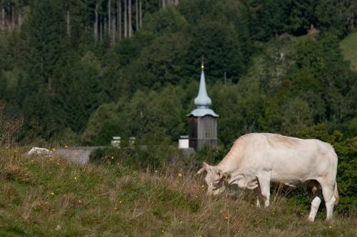 Agroturismo Grundnerhof