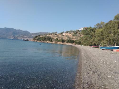 Apartamento Olive Branch2