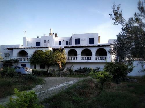 Apartamento Olive Branch2