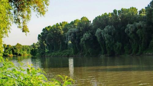 Apartamento Sz?ke Tisza Pihen?park