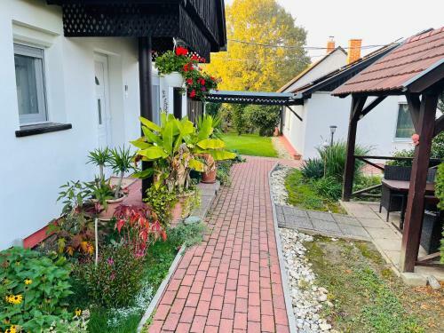 Apartamento No� B�rk�ja Vend�gh�z
