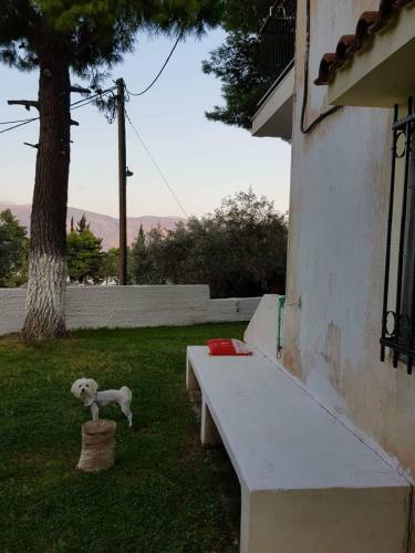 Apartamento Villa Galaxidi