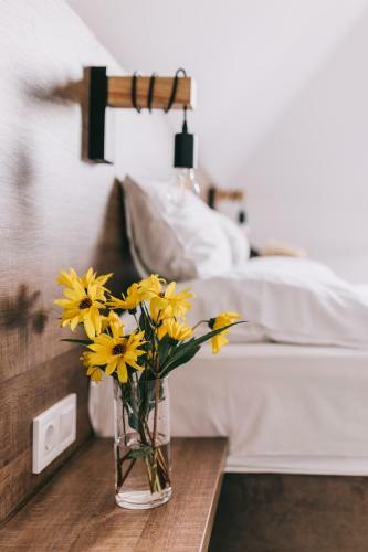 Hostal Fata Birtok