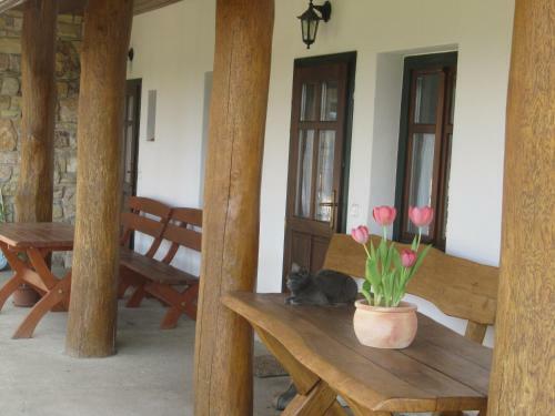 Apartamento Tak�cs Tanya Nemesv�mos