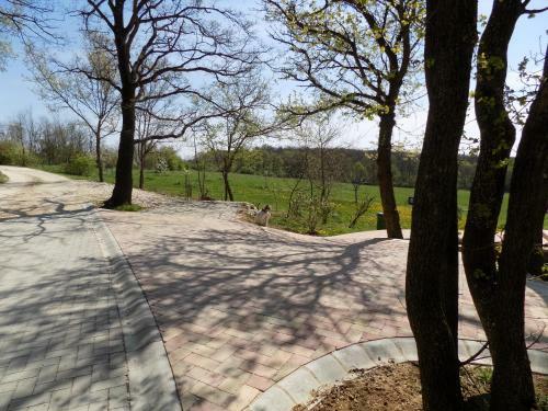 Apartamento Tak�cs Tanya Nemesv�mos