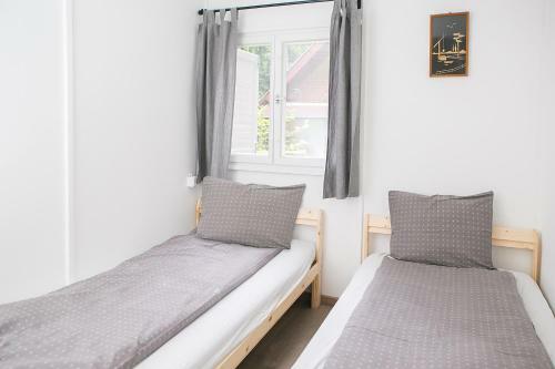 Csipkebogy� Apartman