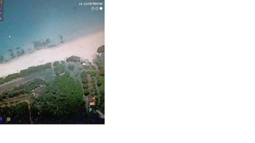 �solo� In Paradise
