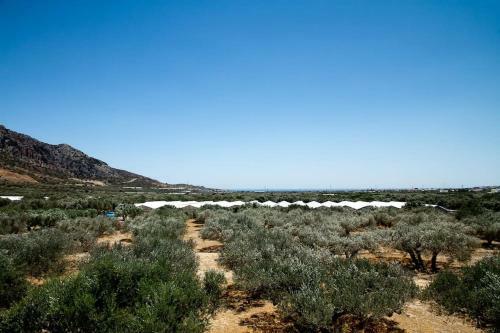 Apartamento Ierapetra Garden House