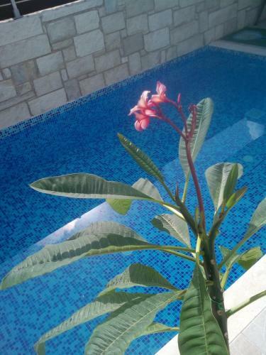 ?theeporto? Maisonette With Pool