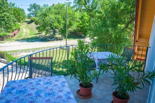 Apartamento Tulip�n Vend�gh�z