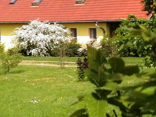 Apartamento T�kert Vend�gh�z