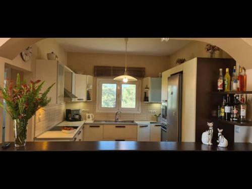 Elegant Holiday Home In Gouvia With Garden