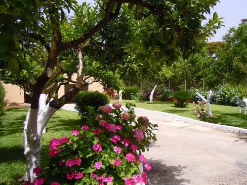 Casa Malu Boutique Apartments - No 2
