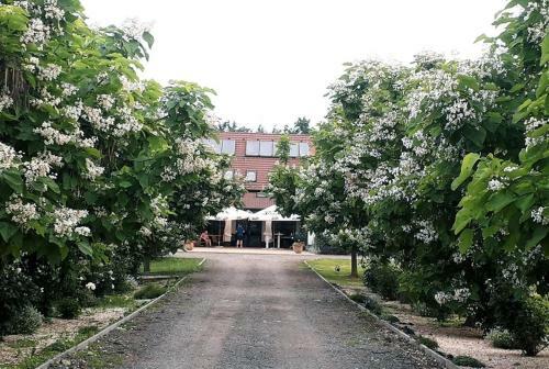 Bed & Breakfast Caballus Lovasmajor