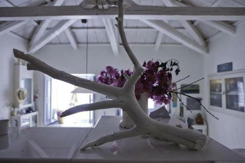 Beautiful Dollhouse In Hydra