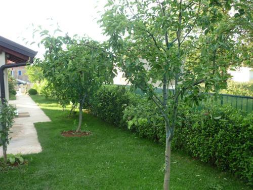 Hostal Apartmani Radin