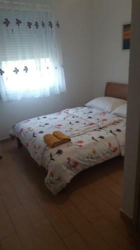 Apartments Leon